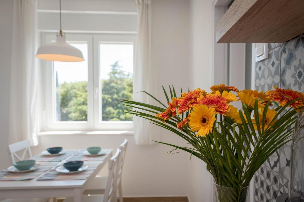 Nona Mileva Apartment Pula Dış mekan fotoğraf